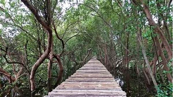 Pemkab Pandeglang Luncurkan Paket Wisata Mangrove