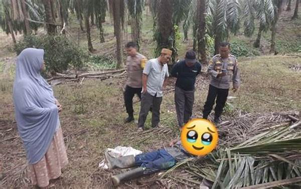 Geger! Penemuan Mayat Di Kebun Sawit Pandeglang, Polisi Curigai Korban Pembunuhan Berencana!